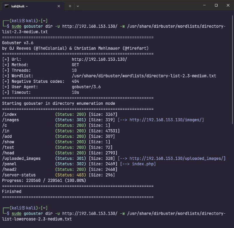这个 gobuster 扫描结果显示了对目标主机 